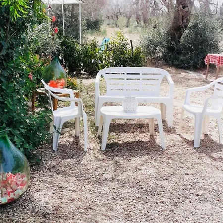 Tatil Evi Summer